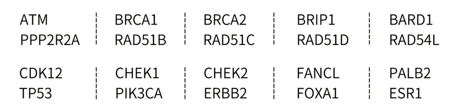 新品上线 %7C &ldquo;暗探针&rdquo;技术助力HRD研究，精准医疗又添一利_9118b83c